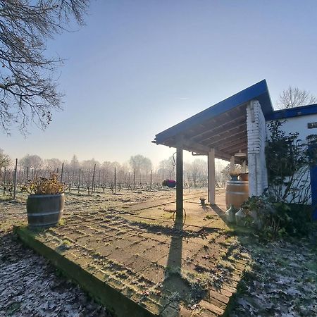 Bed and Breakfast Wijnstaete Lemelerveld Exteriér fotografie