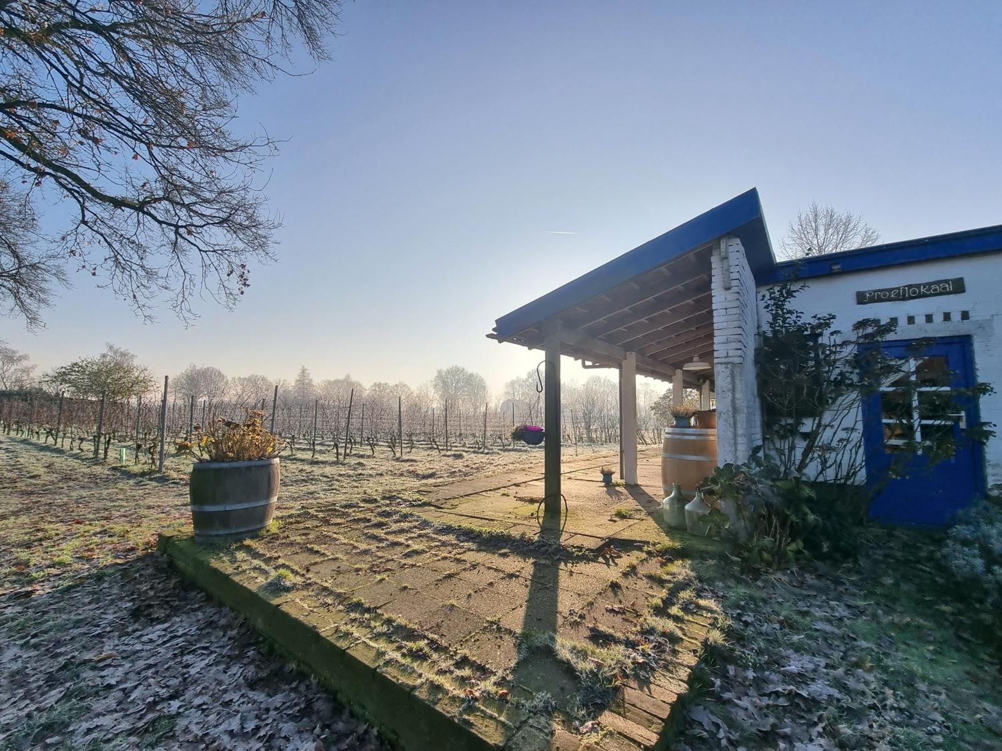 Bed and Breakfast Wijnstaete Lemelerveld Exteriér fotografie