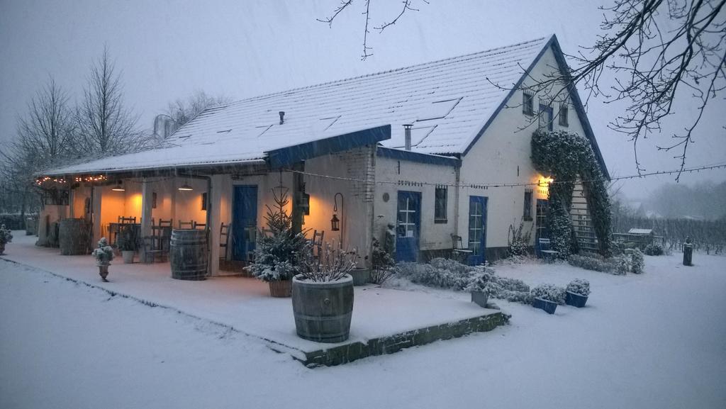Bed and Breakfast Wijnstaete Lemelerveld Exteriér fotografie